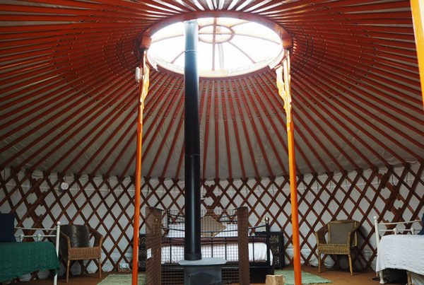 Glamping in a Mongolian Yurt in Dorset